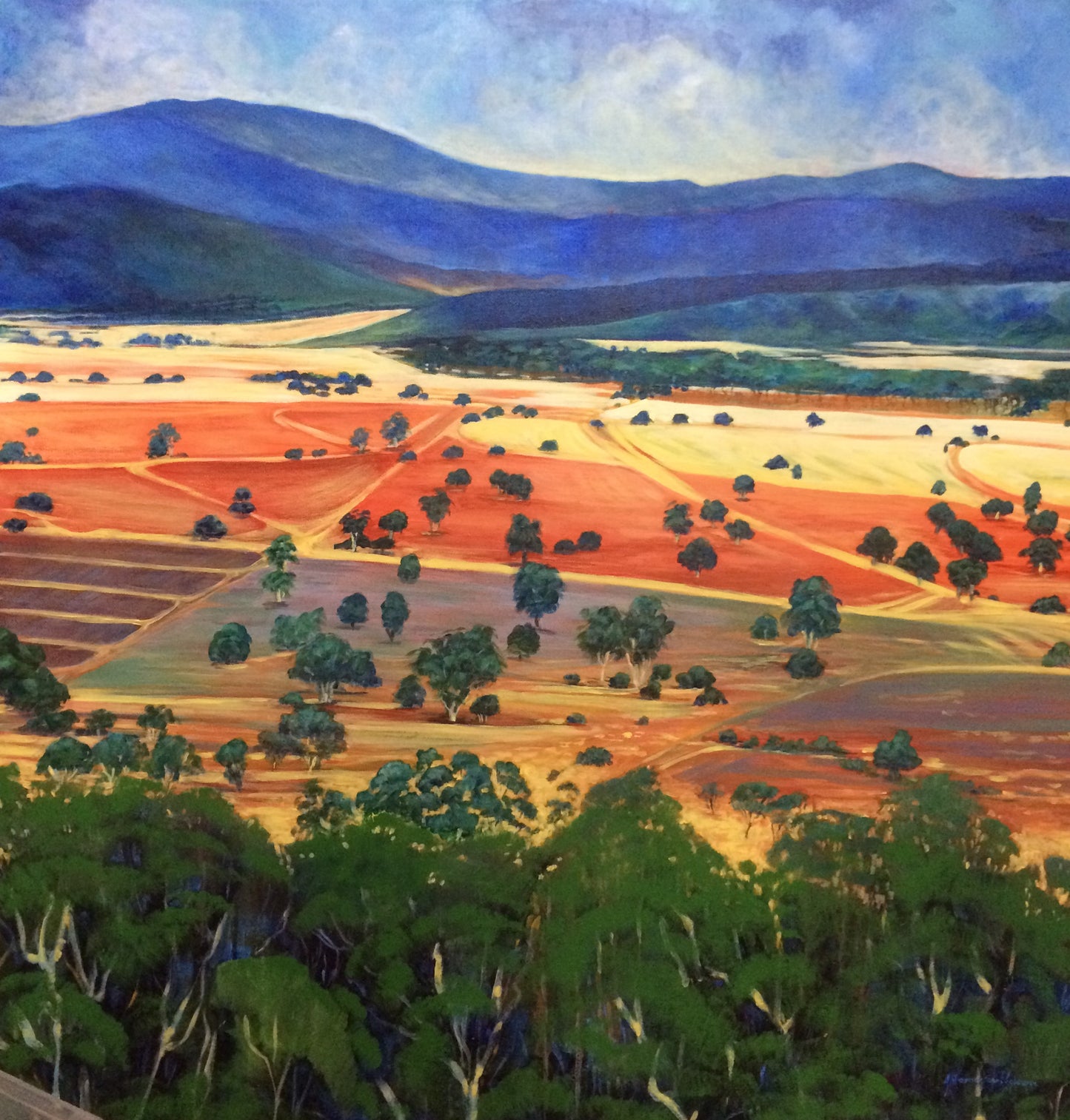 Australia - Bright Landscape