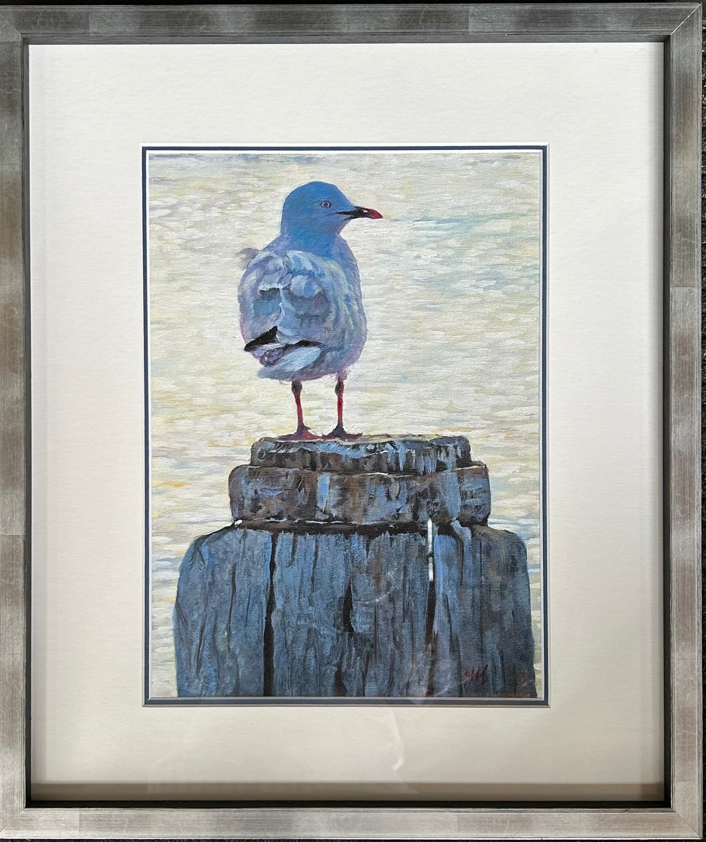Seagull in Blue