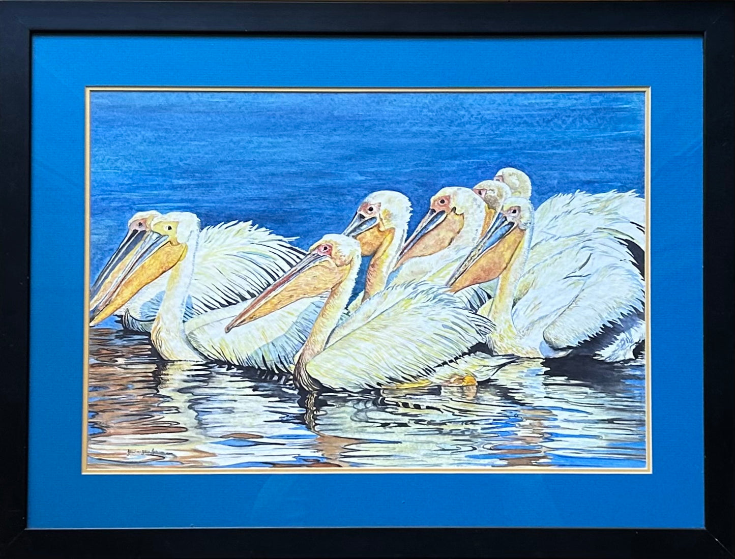 Pelicans