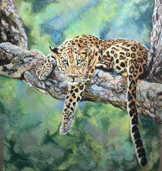 Leopard on the Tree