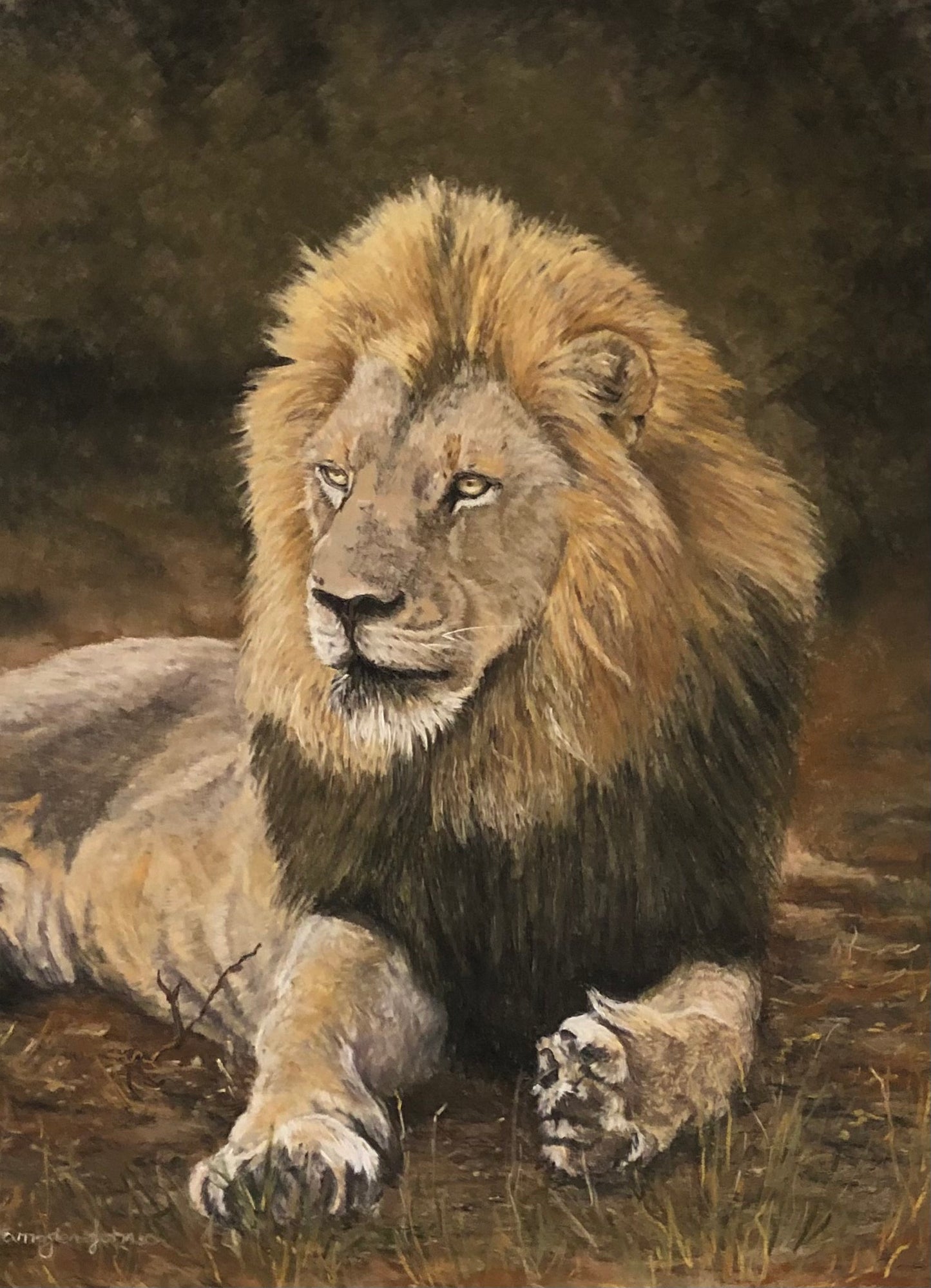 Lion - Lord of the Day 2