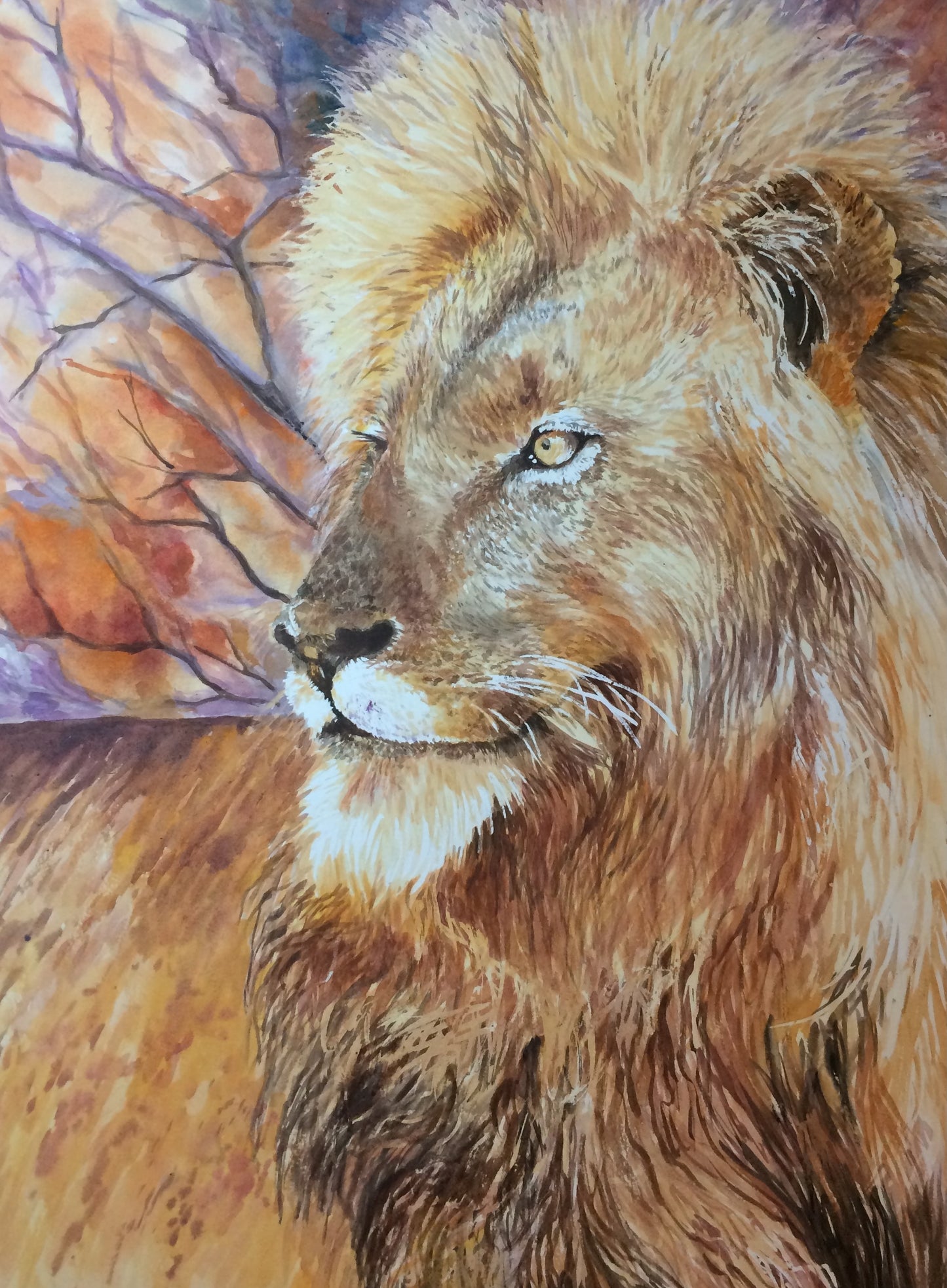 Lion