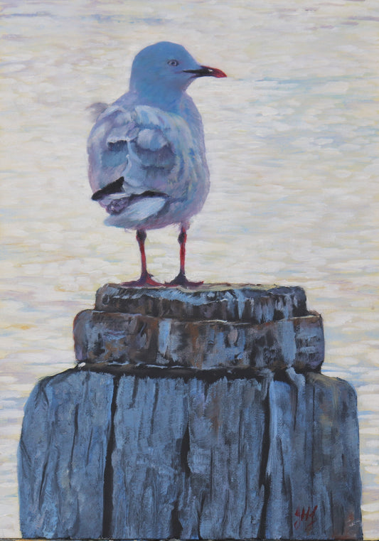 Seagull in Blue